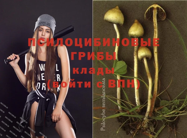 соль ск Аркадак
