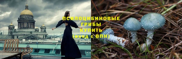 герыч Арсеньев