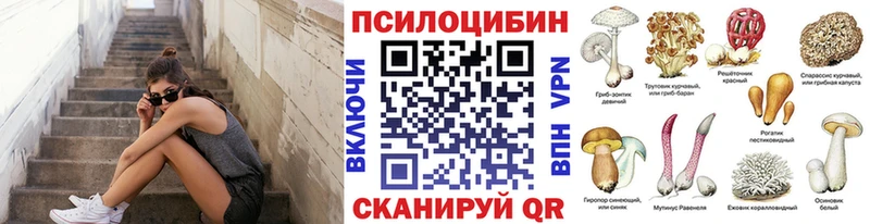 продажа наркотиков  Верхнеуральск  Галлюциногенные грибы прущие грибы 